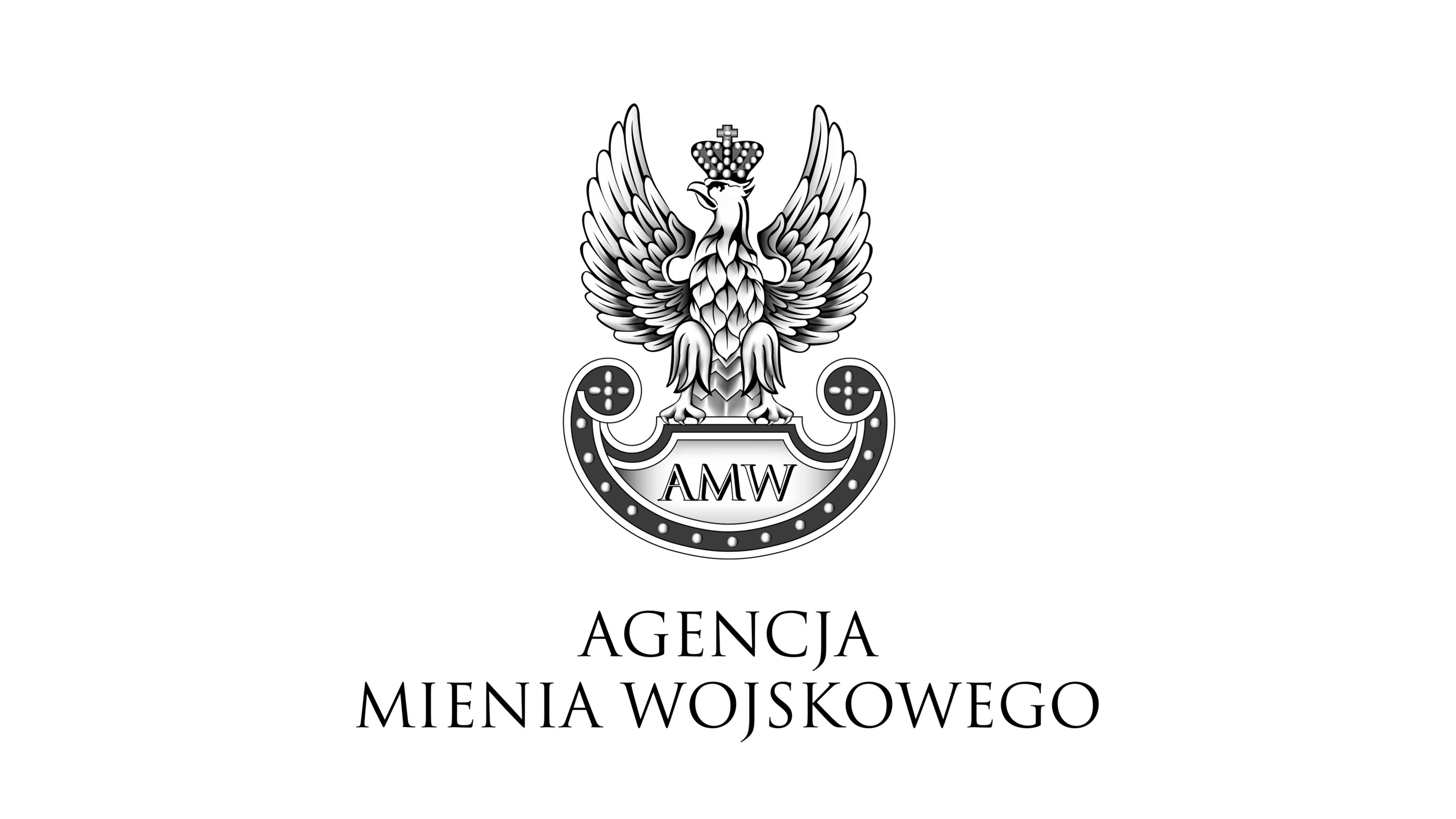 Partner instytucjonalny 2